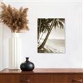 Picture of Beach Palms  _GroupedProduct_Rectangle_Portrait_Photography _GroupedProduct_Rectangle_Portrait_Unframed_Print_Only_