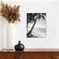 Picture of Beach Palms  _GroupedProduct_Rectangle_Portrait_Photography _GroupedProduct_Rectangle_Portrait_Unframed_Print_Only_