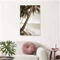 Picture of Beach Palms  _GroupedProduct_Rectangle_Portrait_Photography _GroupedProduct_Rectangle_Portrait_Unframed_Print_Only_