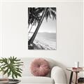 Picture of Beach Palms  _GroupedProduct_Rectangle_Portrait_Photography _GroupedProduct_Rectangle_Portrait_Unframed_Print_Only_