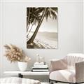 Picture of Beach Palms  _GroupedProduct_Rectangle_Portrait_Photography _GroupedProduct_Rectangle_Portrait_Unframed_Print_Only_