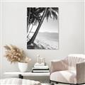 Picture of Beach Palms  _GroupedProduct_Rectangle_Portrait_Photography _GroupedProduct_Rectangle_Portrait_Unframed_Print_Only_