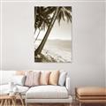 Picture of Beach Palms  _GroupedProduct_Rectangle_Portrait_Photography _GroupedProduct_Rectangle_Portrait_Unframed_Print_Only_