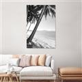 Picture of Beach Palms  _GroupedProduct_Rectangle_Portrait_Photography _GroupedProduct_Rectangle_Portrait_Unframed_Print_Only_