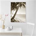 Picture of Beach Palms  _GroupedProduct_Rectangle_Portrait_Photography _GroupedProduct_Rectangle_Portrait_Unframed_Print_Only_