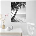 Picture of Beach Palms  _GroupedProduct_Rectangle_Portrait_Photography _GroupedProduct_Rectangle_Portrait_Unframed_Print_Only_
