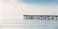 Picture of Birds on the Pier _GroupedProduct_Rectangle_Landscape_Photography _GroupedProduct_Rectangle_Landscape_Unframed_Print_Only_