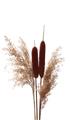 Picture of Cattails  _GroupedProduct_Rectangle_Portrait_Photography _GroupedProduct_Rectangle_Portrait_Unframed_Print_Only_
