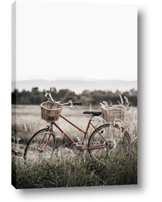 Picture of Bicycle Basket