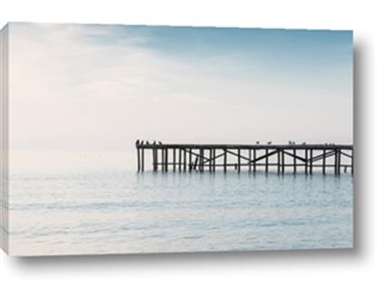 Picture of Birds on the Pier