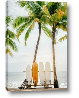 Picture of Boards on the Beach
