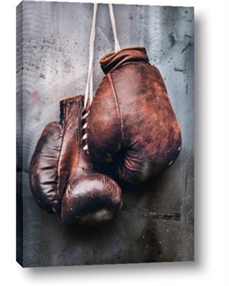 Picture of Boxing Gloves