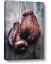Picture of Boxing Gloves