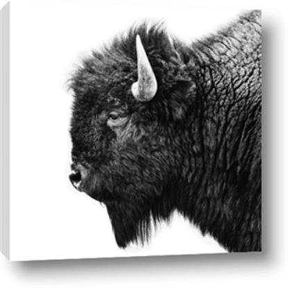 Picture of Buffalo Head