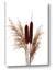 Picture of Cattails