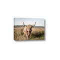 Picture of Beautiful Cow, Bella  _GroupedProduct_Rectangle_Landscape_Photography _GroupedProduct_Rectangle_Landscape_Canvas_