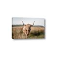 Picture of Beautiful Cow, Bella  _GroupedProduct_Rectangle_Landscape_Photography _GroupedProduct_Rectangle_Landscape_Canvas_