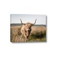 Picture of Beautiful Cow, Bella  _GroupedProduct_Rectangle_Landscape_Photography _GroupedProduct_Rectangle_Landscape_Canvas_