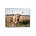 Picture of Beautiful Cow, Bella  _GroupedProduct_Rectangle_Landscape_Photography _GroupedProduct_Rectangle_Landscape_Canvas_