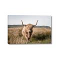 Picture of Beautiful Cow, Bella  _GroupedProduct_Rectangle_Landscape_Photography _GroupedProduct_Rectangle_Landscape_Canvas_