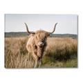 Picture of Beautiful Cow, Bella  _GroupedProduct_Rectangle_Landscape_Photography _GroupedProduct_Rectangle_Landscape_Canvas_