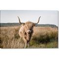 Picture of Beautiful Cow, Bella  _GroupedProduct_Rectangle_Landscape_Photography _GroupedProduct_Rectangle_Landscape_Canvas_