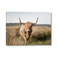 Picture of Beautiful Cow, Bella  _GroupedProduct_Rectangle_Landscape_Photography _GroupedProduct_Rectangle_Landscape_Canvas_