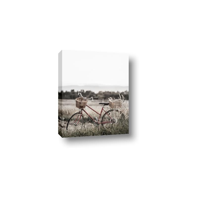 Picture of Bicycle Basket _GroupedProduct_Rectangle_Portrait_Photography _GroupedProduct_Rectangle_Portrait_Canvas_