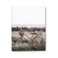 Picture of Bicycle Basket _GroupedProduct_Rectangle_Portrait_Photography _GroupedProduct_Rectangle_Portrait_Canvas_