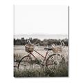 Picture of Bicycle Basket _GroupedProduct_Rectangle_Portrait_Photography _GroupedProduct_Rectangle_Portrait_Canvas_