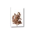 Picture of Brown Fall  _GroupedProduct_Rectangle_Portrait_Photography _GroupedProduct_Rectangle_Portrait_Canvas_