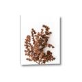 Picture of Brown Fall  _GroupedProduct_Rectangle_Portrait_Photography _GroupedProduct_Rectangle_Portrait_Canvas_
