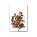 Picture of Brown Fall  _GroupedProduct_Rectangle_Portrait_Photography _GroupedProduct_Rectangle_Portrait_Canvas_