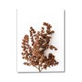 Picture of Brown Fall  _GroupedProduct_Rectangle_Portrait_Photography _GroupedProduct_Rectangle_Portrait_Canvas_