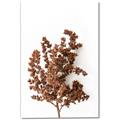 Picture of Brown Fall  _GroupedProduct_Rectangle_Portrait_Photography _GroupedProduct_Rectangle_Portrait_Canvas_