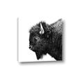 Picture of Buffalo Head _GroupedProduct_Square_Photography _GroupedProduct_Square_Canvas_