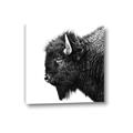 Picture of Buffalo Head _GroupedProduct_Square_Photography _GroupedProduct_Square_Canvas_