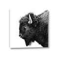 Picture of Buffalo Head _GroupedProduct_Square_Photography _GroupedProduct_Square_Canvas_