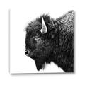 Picture of Buffalo Head _GroupedProduct_Square_Photography _GroupedProduct_Square_Canvas_