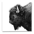 Picture of Buffalo Head _GroupedProduct_Square_Photography _GroupedProduct_Square_Canvas_