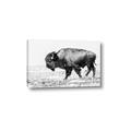 Picture of Buffalo March _GroupedProduct_Rectangle_Landscape_Photography _GroupedProduct_Rectangle_Landscape_Canvas_