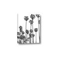 Picture of California Palms _GroupedProduct_Rectangle_Portrait_Photography _GroupedProduct_Rectangle_Portrait_Canvas_