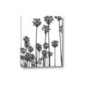 Picture of California Palms _GroupedProduct_Rectangle_Portrait_Photography _GroupedProduct_Rectangle_Portrait_Canvas_