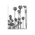 Picture of California Palms _GroupedProduct_Rectangle_Portrait_Photography _GroupedProduct_Rectangle_Portrait_Canvas_