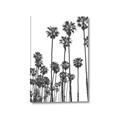 Picture of California Palms _GroupedProduct_Rectangle_Portrait_Photography _GroupedProduct_Rectangle_Portrait_Canvas_