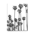 Picture of California Palms _GroupedProduct_Rectangle_Portrait_Photography _GroupedProduct_Rectangle_Portrait_Canvas_