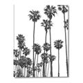 Picture of California Palms _GroupedProduct_Rectangle_Portrait_Photography _GroupedProduct_Rectangle_Portrait_Canvas_