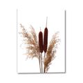 Picture of Cattails  _GroupedProduct_Rectangle_Portrait_Photography _GroupedProduct_Rectangle_Portrait_Canvas_