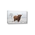 Picture of Cookie, the Cow  _GroupedProduct_Rectangle_Landscape_Photography _GroupedProduct_Rectangle_Landscape_Canvas_