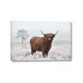 Picture of Cookie, the Cow  _GroupedProduct_Rectangle_Landscape_Photography _GroupedProduct_Rectangle_Landscape_Canvas_